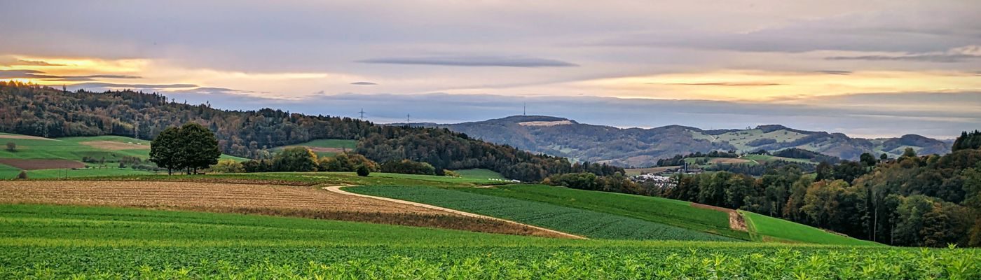 Trauer-Lebens-Netzwerk Hochrhein